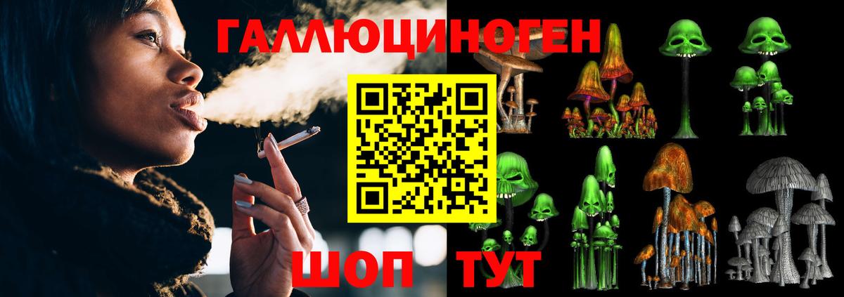 Псилоцибиновые грибы Cubensis Михайловка